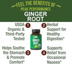 Peak Performance USDA Organic Ginger Root Capsules. Vegan Ginger Pills Supplement for Women & Men to Support Digestion, Occasional Nausea Relief, Gas & Bloat Support, and Gentle Stomach Comfort