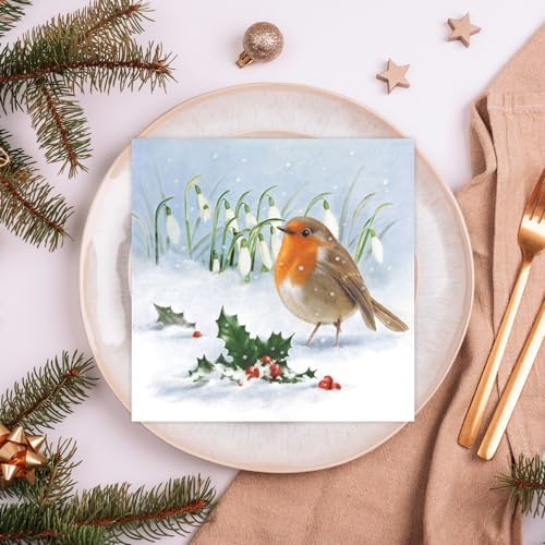 Anniversary House Tiflair Luxury Christmas Napkins, Robin Holly & Snowdrops Design, Thick and Strong Paper Lunch Napkins 3 ply, Multi-Coloured PJ310336