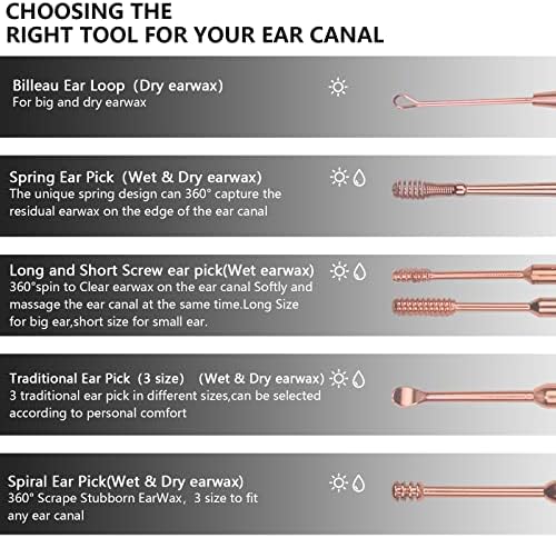 Hion 6 Pcs Ear Wax Removal Kit,Professional Double-Headed Ear Pick Earwax Removal Tools,316L Stainless Steel Ear Cleaner Curette with Cleaning Brush and Storage Box,Suit for Kid Adult(Rose Gold)