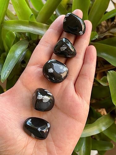 GAF TREASURES 5 Pcs Tumbled Stones, Natural Tumbled Gemstone, Polished Rocks, Tumbled Crystals, Stones for Wicca, Reiki, Therapy, Meditation and Crystal Healing