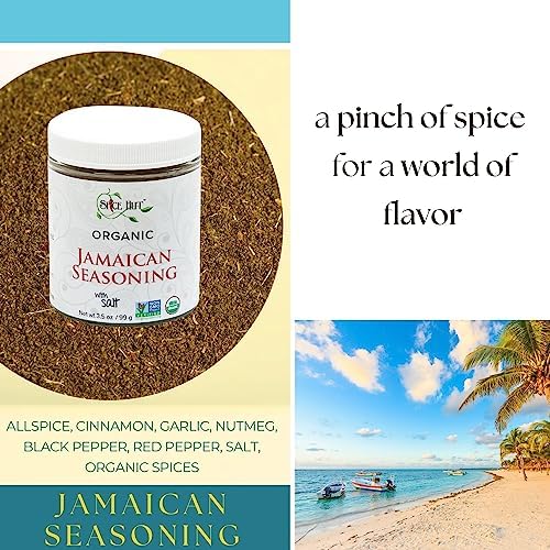 Organic Jamaican Jerk Seasoning Dry Rub for Cooking, with Salt / Jamaican Seasoning All Purpose Carribbean Spice Blend for Griling Jerk Chicken and Flavorful Carribbean Meals / All-Natural, Kosher, Vegan, Gluten Free, Keto -No MSG- 3.5oz Glass Jar
