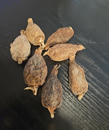 Emmivans Alligator Pepper Pods, African Grains of Paradise, Whole Spice, 7 Pieces