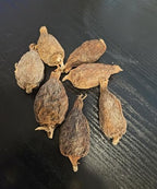 Emmivans Alligator Pepper Pods, African Grains of Paradise, Whole Spice, 7 Pieces