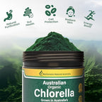 Biogenesis Organic Chlorella Powder – 200g | Australian Grown | BioDynamic Cracked Cell Wall | Rich in Chlorophyll, Vitamins & Minerals | Supports Energy & Immunity | Vegan Powder