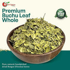 NY Spice Shop Buchu Leaf for Herbal Tea - Dried Whole Boegoe Leaves – Natural Bookoo Leafs Relaxing, Refreshing & Pure Taste - Diosma Leaves for Herbal Water Daily (1 Ounce)