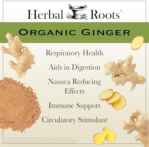 Herbal Roots Ginger Supplement | Organic Ginger Root Capsules | 1,200 mg of Pure Ginger Powder per Serving | 60 Vegan Capsules