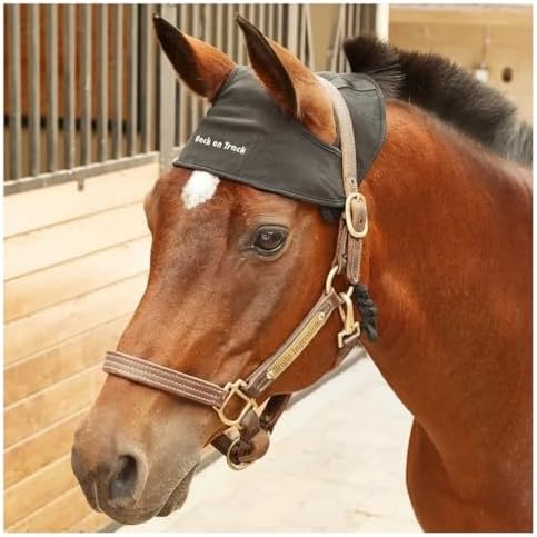Back on Track Halter
