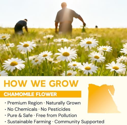 Chamomile Tea Bags 100 Count, Chamomile Flower Herbal Tea with Sugar-Free, Caffeine-Free