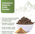 Himalayan Kutki Root (Picrorhiza kurroa) – Sun-Dried, Premium Grade, 3.5oz (100g), Traditional Ayurvedic Herb
