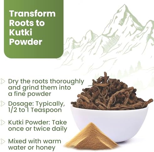 Himalayan Kutki Root (Picrorhiza kurroa) – Sun-Dried, Premium Grade, 3.5oz (100g), Traditional Ayurvedic Herb