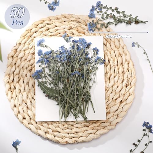 50 Pcs Natural Forget Me Not Pressed Dried Flowers Blue Don't Forget Me Dried Flower Real for Resin Jewelry Candle Card Making Nail Art DIY Home Decoration