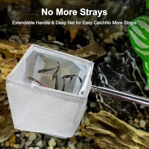 2-Piece Stainless Steel Fish Net Set – Fine Mesh, Extendable Handle, Round & Square Nets for Aquarium, Fish Tank, Small Fish Catching