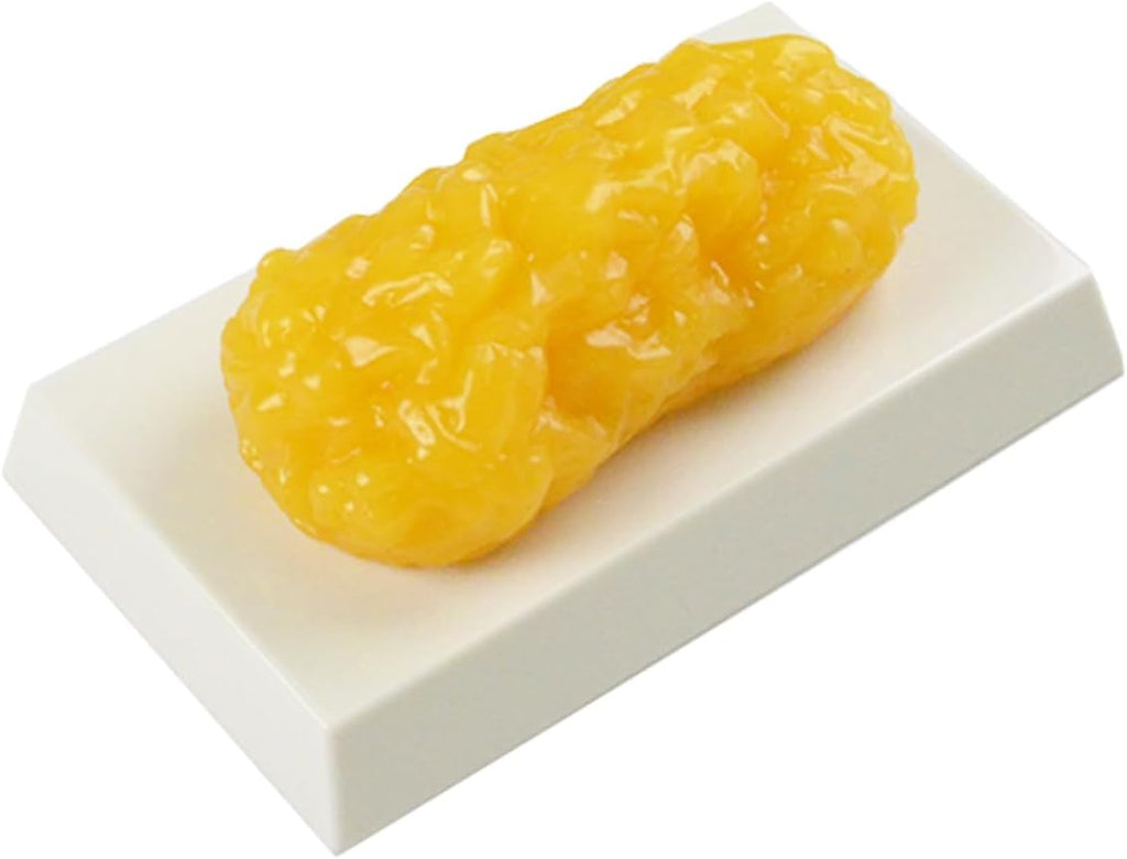 1 lb Authentic Human Body Fat Replica, Keep Fit & Weight Loss Motivation & Reminder, Human Fatty Tissue Demonstration Model for Nutritionist, Science Course for Medical Student