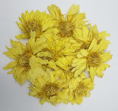 Premium Perfume Lotus Dried Natural Flowers Tea Whole Flower | Non GMO, Caffeine-free | 1oz(28g)