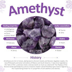 Amogeeli Natural Amethyst Crystal Geode Cluster Specimen for Home Decor, Mineral Raw Stone for Collection