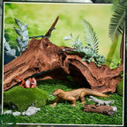 Simgoing 19 Pcs Reptile Cake Toppers Safari Animals Cake Decorations Artificial Lizard Snake Model Leaf Stone Tree Stump Set Reptile Party Decoration for Birthday Baby Shower Theme Party Supplies