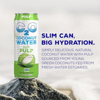 C2O - Coconut Water with Pulp (12 Pack) - Made with Fresh Coconut Water - Plant Based - Non GMO - Canned Water - Natural Hydration, Essential Electrolytes, & Potassium - 12 Cans, 17.5 FL OZ