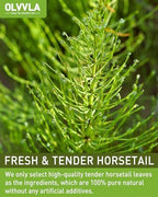 Olvvla - Premium Horsetail Tea Bags - 1.5g X 40 Count - Pure Natural Horsetail Herbal Tea - Caffeine-free - Non-GMO - Dried Horsetail Herb - Rich in Antioxidants & Support Bone Health