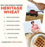 Sunrise Flour Mill USDA Organic 7-Grain Heritage Pancake Mix- 2 lbs | Enjoy Fluffy & Tasty Waffles | Easier to Digest with Less Bloating | Zero Additives