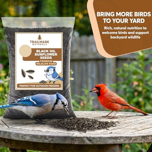 10 Pound Black Oil Sunflower Seeds for Birds – Premium Wildlife Food – Non - GMO -Grown in the USA - Black Oil Sunflower Seeds for Wild Animals and Backyard Feeders