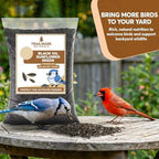 10 Pound Black Oil Sunflower Seeds for Birds – Premium Wildlife Food – Non - GMO -Grown in the USA - Black Oil Sunflower Seeds for Wild Animals and Backyard Feeders