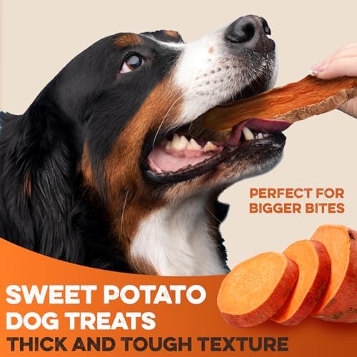 BRUTUS & BARNABY Sweet Potato Dog Treats – Support Sensitive Stomachs with USA-Grown, Hypoallergenic Treats that Smell as Good as They Taste