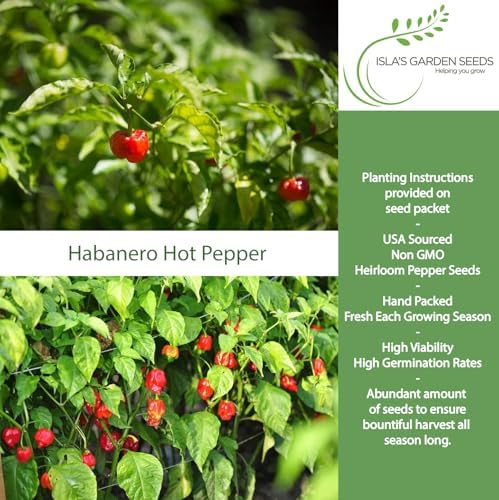 Caribbean Red Habañero Hot Pepper Seeds, 25 Heirloom Seeds Per Packet, Non GMO Seeds, Botanical Name: Capsicum chinense, Isla's Garden Seeds