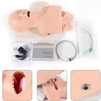 Educational Tools， Intubation of Airway Management Trainer 110-220V Intubation Manikin Training Simulator Airway Management Trainer Intubation Head Teaching Study Model Manikin