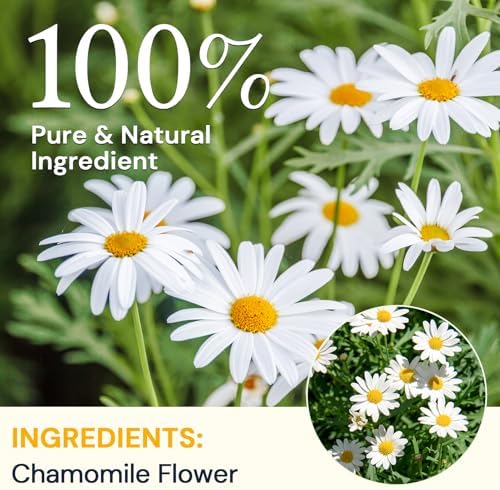 Chamomile Tea Bags 100 Count, Chamomile Flower Herbal Tea with Sugar-Free, Caffeine-Free