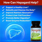 Hepagard - Natural Liver Support Supplement with N-Acetyl Cysteine (NAC) - Non-GMO, Vegan, Gluten-Free