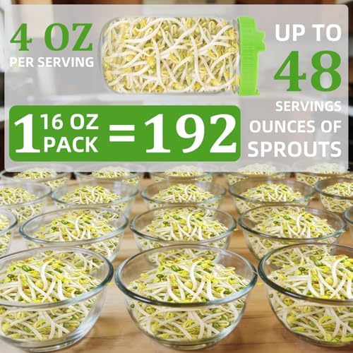 Organic Mung Bean Sprout Seeds (16 oz), Certified Non-GMO, Heirloom Seeds, Premium Mung Bean Sprouting Seeds for Sprouting and Microgreens, High Yield High Germination, Resealable Bag