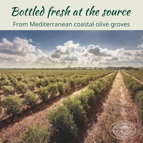 Polyphenol Rich Extra Virgin Olive Oil by San Giuliano, Pure 100% Italian EVOO from Italy, Cold Pressed for Everyday Cooking, Non-GMO Certified, Sustainably Farmed, 3 Liter Tin