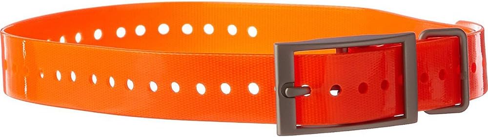 Garmin 1-Inch Dog Collar, Orange
