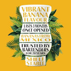 Banana Reàl, Banana Puree Infused Syrup, 16.9 FL OZ Squeezable Bottle (Pack of 1)