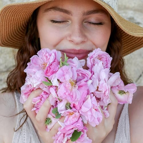 Rosense Rosewater Hydrating Facial Toner/Rose Water Face Mist (6.8 Oz) 2-Pack