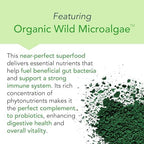 New Earth Acidophilus - Probiotic for Upper GI Support - Lactobacillus DDS-1, Inulin Prebiotic & Organic Wild Microalgae - 5 Billion CFU for Gut Health, Digestion & Immune Function - Vegan, 30 ct