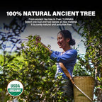 YUANSHENG Organic Raw Pu erh Tea Cake, 7.06 Oz USDA Certified Aged Fermented Pu-Erh Tea Cake, Chinese Yunnan Ancient Tree Puerh Black Tea for Daily Drink and Gift, Mellow & Smooth