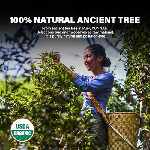 YUANSHENG Organic Raw Pu erh Tea Cake, 7.06 Oz USDA Certified Aged Fermented Pu-Erh Tea Cake, Chinese Yunnan Ancient Tree Puerh Black Tea for Daily Drink and Gift, Mellow & Smooth