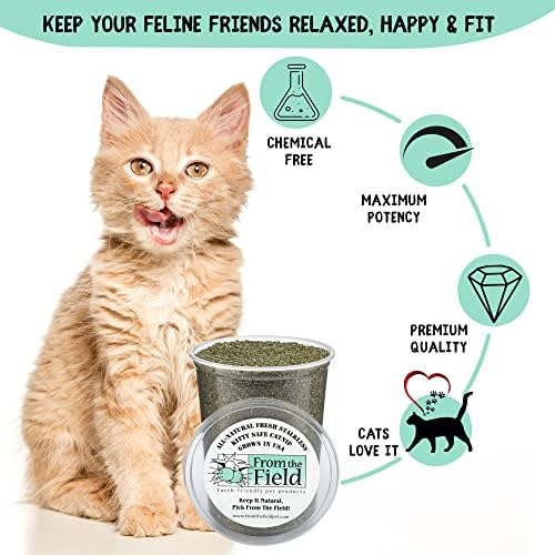 from The Field | Fine Ground Stalkless Catnip | Premium USA-Grown Catnip for Toys & Playtime | Fresh, Potent, Non-Toxic, Eco-Friendly | Safe for Kittens & Cats | Resealable 1.5 Oz Bag