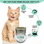 from The Field | Fine Ground Stalkless Catnip | Premium USA-Grown Catnip for Toys & Playtime | Fresh, Potent, Non-Toxic, Eco-Friendly | Safe for Kittens & Cats | Resealable 1.5 Oz Bag