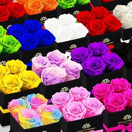 Forever Flowers Roses in A Box,Real Preserved Flowers,Preserved Roses,Preserved Flowers for Delivery,Birthday Gifts for Women/Men/Mom,Flowers for Mothers Day,Valentine's Day Rose Gifts,Red