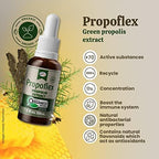 Beelife Organic Green Propolis Extract - High Artepillin-C Levels, Antioxidant-Rich Supplement for Overall Wellness - Natural & Kosher-Friendly - Made in Brazil, 1 Fl. Oz.