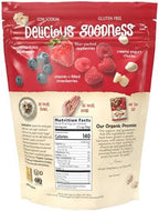Nature's Path Organic Summer Berries Granola, 11 oz (Pack of 1), Gluten Free, Non-GMO