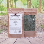 Health Embassy Black Currant Leaf Tea | Ribes nigrum L | Herbal Tea (50g)