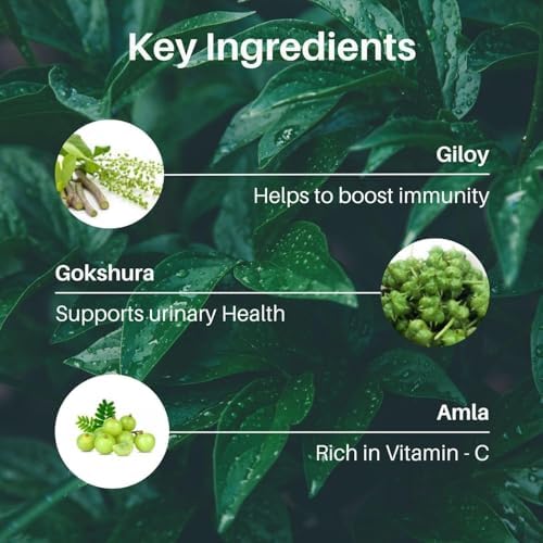 Rasayan Powder (Amrutadi Churna) | Ayurvedic Immunity Booster | Giloy, Amla & Gokshura | Plant Based | Chemical Free | 100 g