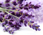 OliveNation Premium Lavender Extract from Natural Flavors, Light Floral Flavoring for Baked Goods, Beverages, Sauces, Non-GMO, Kosher, Vegan - 4 oz