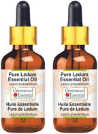 Greenwood Essential Pure Ledum Essential Oil (Ledum groenlandicum) Steam Distilled (Pack of Two) 15ml X 2 (1 oz)
