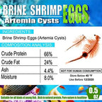 Brine Shrimp Eggs for Aquatic Foods Baby & Fry Foods The Popular 90% Hatch GSL Brine Shrimp Eggs (0.5 OZ)