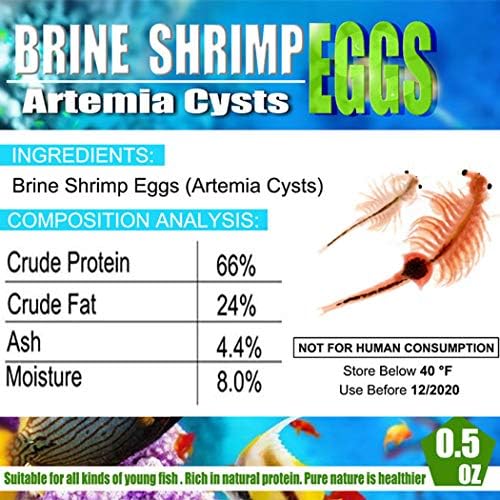 Brine Shrimp Eggs for Aquatic Foods Baby & Fry Foods The Popular 90% Hatch GSL Brine Shrimp Eggs (0.5 OZ)