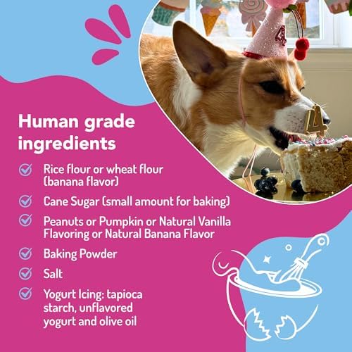 Puppy Cake Dog Birthday Cake Kit – Complete Cake Mix, Icing Mix, Candle, and Silicone Pan - Pumpkin Flavor – Bake or Microwave – Perfect for Celebrating Your Dog’s Special Day – Made in USA